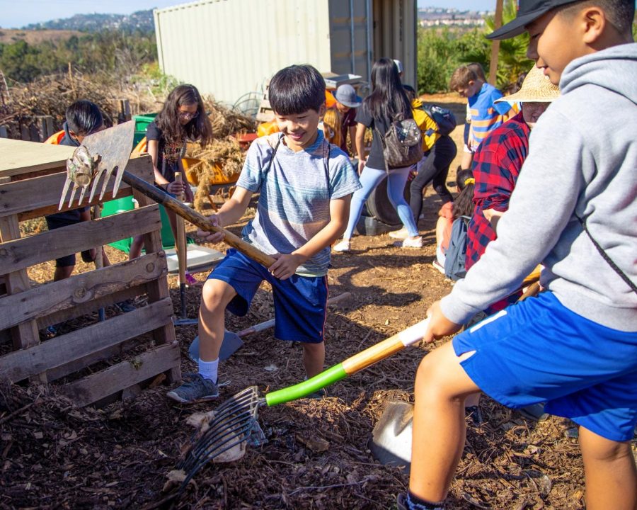 Boys gardening together and giving back to the community