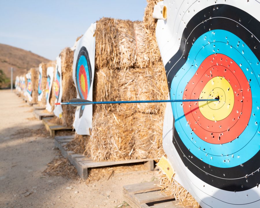 Arrows in archery targets