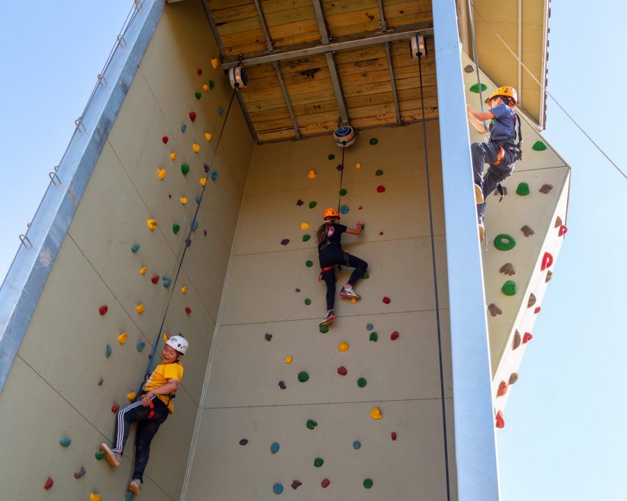 Kids on the climbing wall