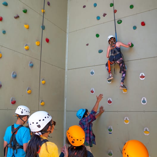 Kids on the climbing wall