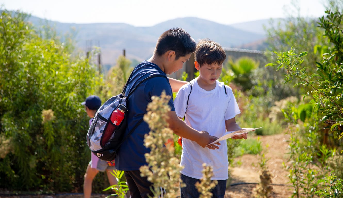 Two boys looking at a info sheet outside