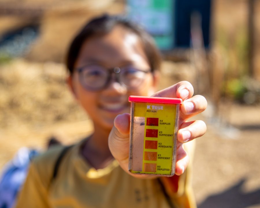 Girl using a K-Test for science