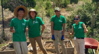 Four teens volunteering clearing up property